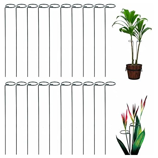 Tingyuan 24 Inches Single Stem Plant Support Stakes Steel Garden Stakes, Pack of 20