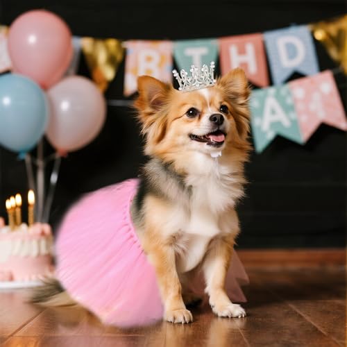 Disfraz para perro con tutu y corona de perlas miniatura 5