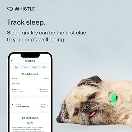 Whistle Health Smart Device | Dog Health and Fitness Tracker | Track Scratching, Licking, Drinking, Eating, Sleeping, and Activity, Green - Thumbnail 6