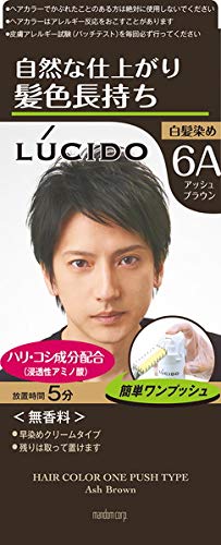 Mandom Lucido One Push Care Color Ash Brown Bulk Purchase (3) LUCIDO