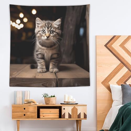 Couverture murale amusante chat impression haute définition