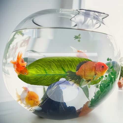 Image of Betta Fish Acrylic Tube Tunnel 1 Pack Betta Fish Shelter Hideaway Fishing Leaf Pad Simulating The Natural Habitat Toys Decor Hideout for Shrimp Cichlid Hiding Breeding