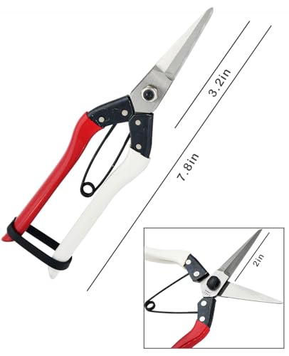 Image of Double-Edge Garden Shears Micro-Tip Pruning Shears Extra Heavy Straight Garden Scissors Effortless Cuts Pruning Shears for Gardening Clippers for Plant Herb Flower Harvesting Fruits vegetables