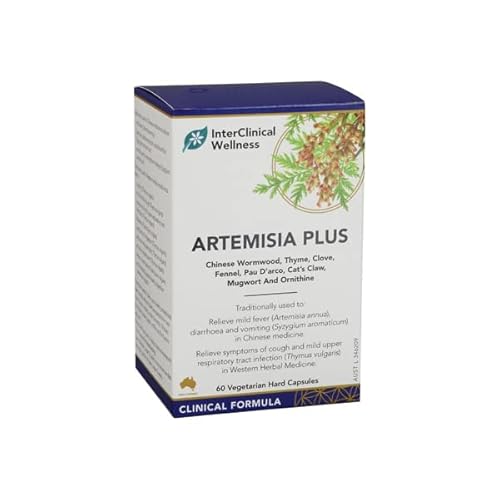 wellness kidney health supplements