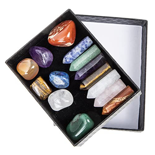 UKCOCO VRZp`N[ |[^u@\NX^ ґzpIGlM[Xg[ KƏ򉻂 蕨ɂKN[[V