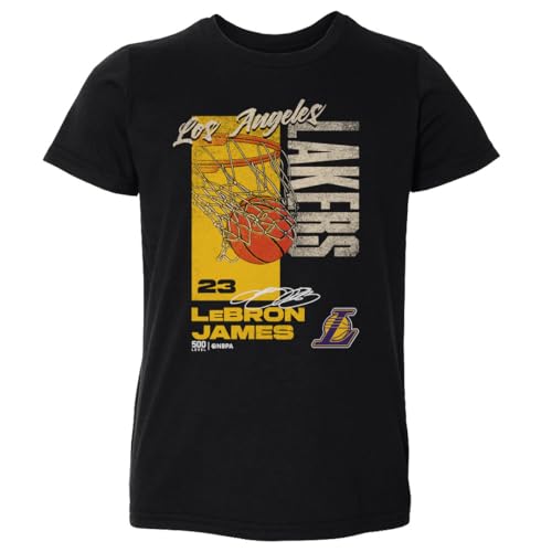 500 LEVEL Lebron James Los Angeles Lakers All Net Toddler Shirt (Black, 3T)