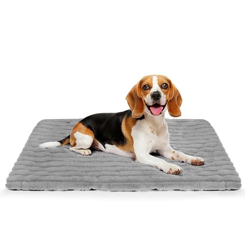 RIOGOO Tappetino riscaldante autonomo, cuccia per gatti, coperta riscaldata per cani, tappetino riscaldante autonomo per animali domestici 60 x 40 cm, cuccia riscaldante autonoma(M)