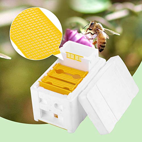 Yardwe Bienenstock Bienenbox Bienenkasten Schaum Bienenkönigin Box Bienenzucht Zubehör Imkerei Werkzeug für Imkerstarter – Bild 3