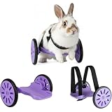 Adjustable Pet Wheelchair Hind Leg Support Small Animal Mobility Cart