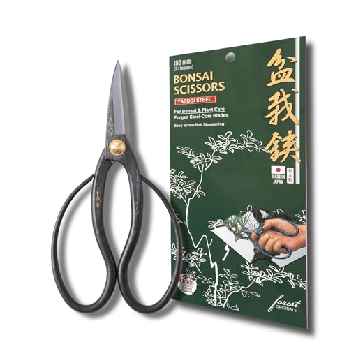 SenkichiKin Bonsai Scissors 7in (180mm) Made in Japan Pruning Shears Sharp Carbon Steel for Precision Trimming Lightweight Tool for Bonsai Flowers & Indoor Plants forest Originals