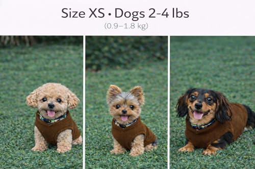 Image of JACKO & CO - Fleece Vest Dog Sweater with Leash Ring - Soft, Warm & Lightweight Pullover Coat for Small & Medium Dogs, Puppies & Cats - Cozy Fall /Winter /Spring Pet Jacket (Chocolate Brown, XS (2-4lbs)