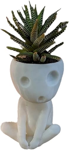 TOPINCN Macetas con orificio de drenaje, bonita maceta luminosa para decoración de casa y oficina (#2)