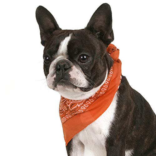 Jordefano JOBATRMIX-8 Pack Of 8 Paisley Cotton Dog Bandana Triangle Shape thumb #3