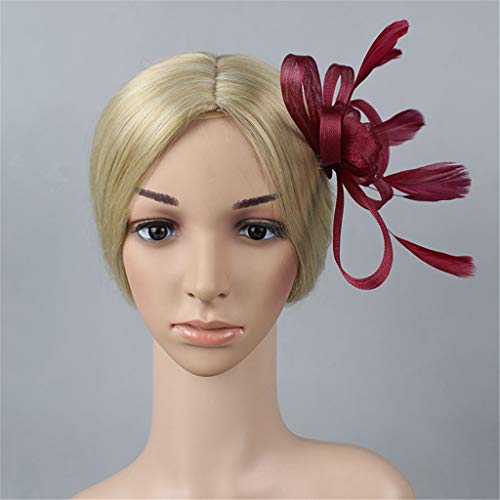 Women Fascinators Ladies Tea Party Fashion Derby Wedding Cocktail Headpiece - Flower Mesh Feathers On Hair Clip (Wine) #TOP2