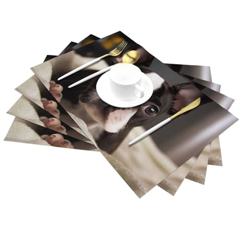 Sets de table antidérapants et lavables pour protéger de la chaleur - 4