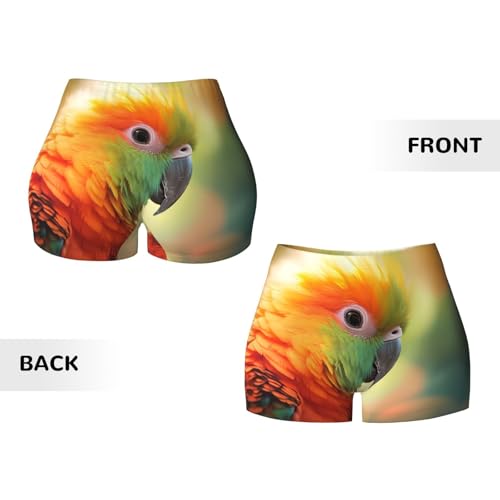 Parakeet Pattern Sports Shorts, high Elastic Slim Fitness Pants, Suitable for Yoga/Leisure/Daily wear3