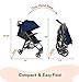 The Tour+ (Zoe XL1) - Best Everyday Single Stroller with Umbrella - Tandem Capable - UPF 50+ - Lightweight