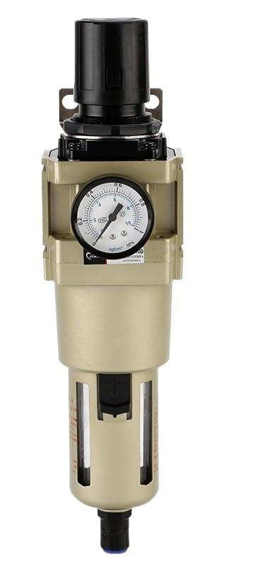 Procesador de aire AW5000-10D para solucionar presencia de agua y aceite en redes neumáticas