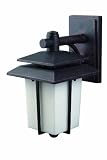 CANARM LTD. IOL162ABZ-C 1 Bulb Outdoor Light, Antique Bronze