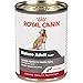 Royal Canin Canine Health Nutrition Mature Adult In Gel Canned Dog Food, 13.5 oz Can (Case of 12)