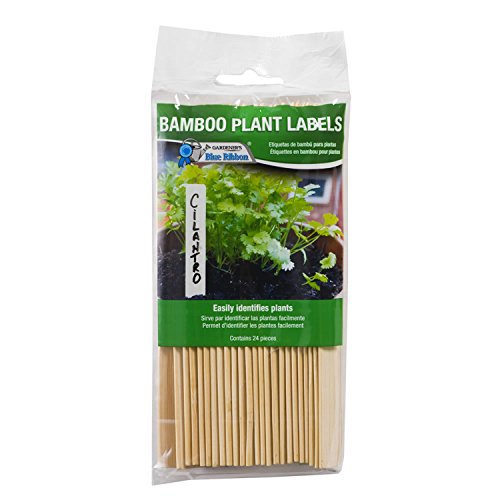 Gardener's Blue Ribbon T020B Bamboo Plant Labels, 6"