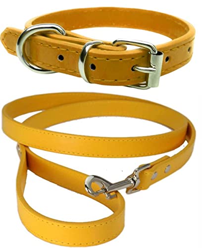 Vibrant Leather Dog Collar & Lead Combo Set for Puppy Dogs Small, Medium & Large (Medium (28cm - 36cm Neck), Bright Gold) - Image 2