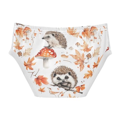 Cute Hedgehog Mushroom Toddler Boy's Underwear 2T 202b90362