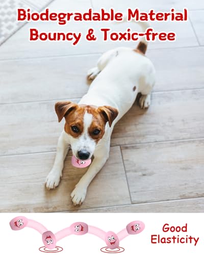 TOPWE Hundeball, [5 Stück] Lustig Weich Quietschend Hundespielzeug Kleine Hunde, Interaktives Egg Hundespielzeug Quietschend für Welpen