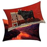 【MATERIALE DEL COPRICUSCINO】Questi copricuscini per divano sono realizzati in lino resistente con stampa digitale. Il tessuto mantiene i colori nel tempo e resiste all’uso quotidiano. Ideali per ambienti interni o esterni.