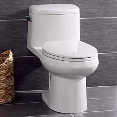 Miseno MNO120C Mia One-Piece High Efficiency Toilet with Elongated Chair Height Bowl - Includes Soft Close Seat and Wax Ring Kit - Bright White