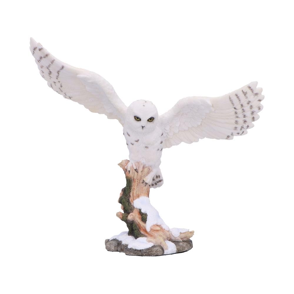 Nemesis Now Multicolor Snowfall The Majestic Winter Owl Figurine, Hand-Painted Wildlife Sculpture, Bird Statue Decor, Snowy Owl In Flight