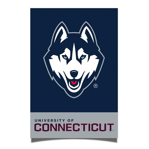 Desert Cactus University of Connecticut Poster UConn Huskies 11 x 17 Inch Room Office Décor Decoration Official Fan Gear (11x17 inch,Version 1A)