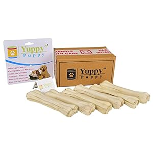 YUPPY PUPPY Pressed Dog Bone, Mini (6-inch x 6 Pieces)
