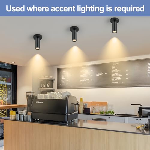 Image of Black Led Ceiling Spot Lights 5CCT Selectable Dimmable led Spot Lights Indoor 12W, CRI90 Adjustable Flush Mount Fixture 24 Accent Lighting 2 Packs