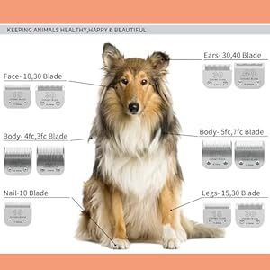   3-Pack-7FC-Detachable-Pet-Dog-Grooming-Ceramic-BladesCompatible-with-AndisOster-A5Wahl-KM-10-SeriesSize-7FC-Blade-18-Inch-32MM-Cut-Length