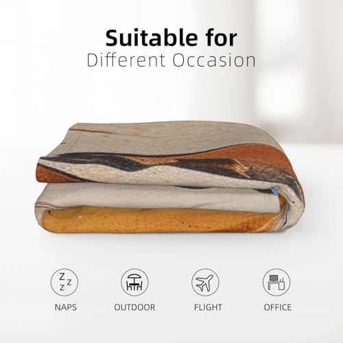 Plaid couverture molletonnée flanelle douce réversible lit canapé
