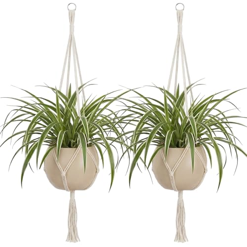 Image of EBOOT 2 Pack 48 Inch Large Macrame Plant Hanger Rope to Hang Flower Pot Plant Holder for Indoor Outdoor Decorations, 4 Legs (Ivory White)