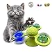 Juguete interactivo de interior para gatitos, juguete giratorio de molino de viento con hierba gatera, con ventosa, cepillo de masaje, 3 hojas, color verde