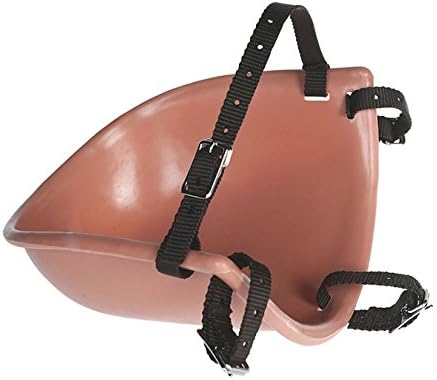 Equine Bib for Horses