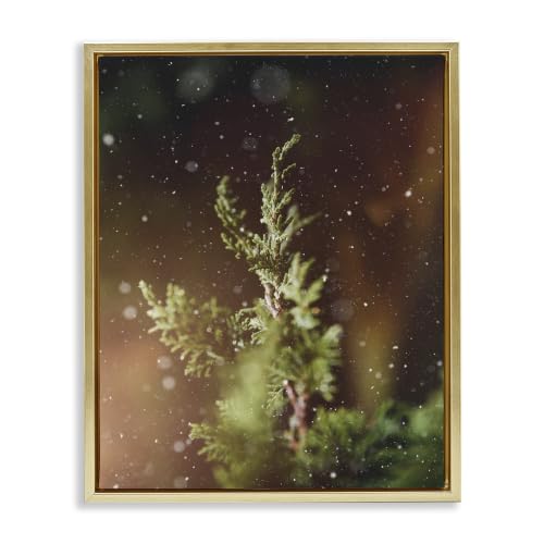 'Winter Snowfall Night Pine Tree'| Floating Frame Canvas Art