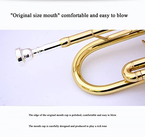Bb Standard Trumpet Set For Beginner, Brass Student Trumpet Instrument With Hard Case, Cleaning Kit (B) #TOP2