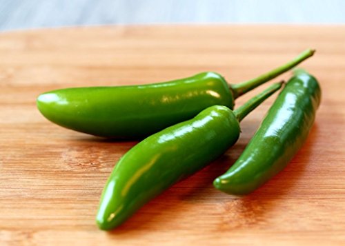 40 ++ Serrano del chile pimiento picante Semillas