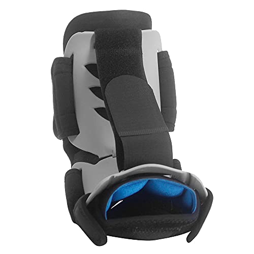 LyxosVee ؖiCgXvgAtbgT|[gu[cAؖFƂӂ͂̃Xgb`Aq[{[Xp[A[`̒ɂ݂Ɏgp