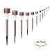 Sunwind 12-Pack Solar-Powered Stainless Steel Led Pathway Garden Lights for Outdoor Décor Lawn,Patio,Yard,Walkway,Driveway (Copper)