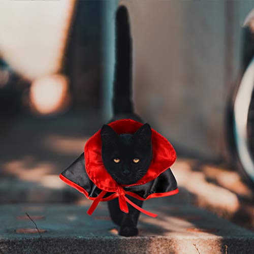 Disfraz Halloween para mascotas pequeños capa y sombrero miniatura 4