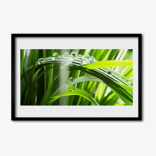 Affiche encadrée 60x40 cm herbe de rosée cadre mural salon cuisine chambre en MDF