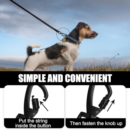 Karabinerhaken mit Drehgelenk,Karabiner für Hundeleine Wirbelkarabiner 2PCS, Robusten Wirbel Schnappkarabiner Scherenkarabiner für Hundeleine, Bergsteigen, Schlüsselbund (A:Schwarz)