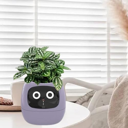Pot de fleurs intelligent violet : la solution anti-arrosage excessif avec écran - 7