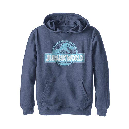 Jurassic World Boys' Hooded Sweatshirt