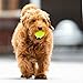 Big Game Hunters Hunde-Tennisball, doppelt stark, unzerstörbar, ideal für Aggressive Kauer, 20 Stück